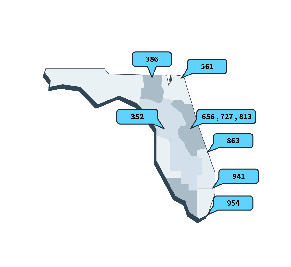 Tampa Area Code Header